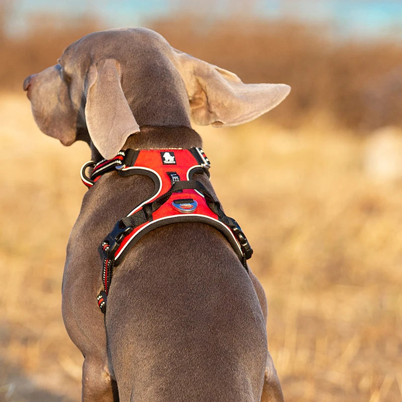 Truelove Pet Reflective Nylon Dog Harness Safety