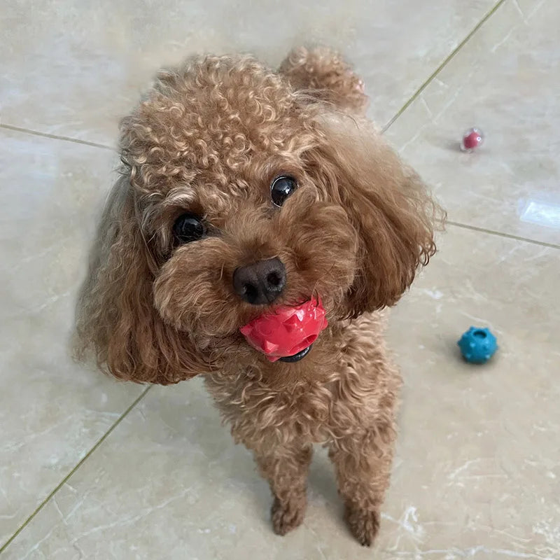 Dog Toys Mini Squeaking Ball Soft Floatable Spring