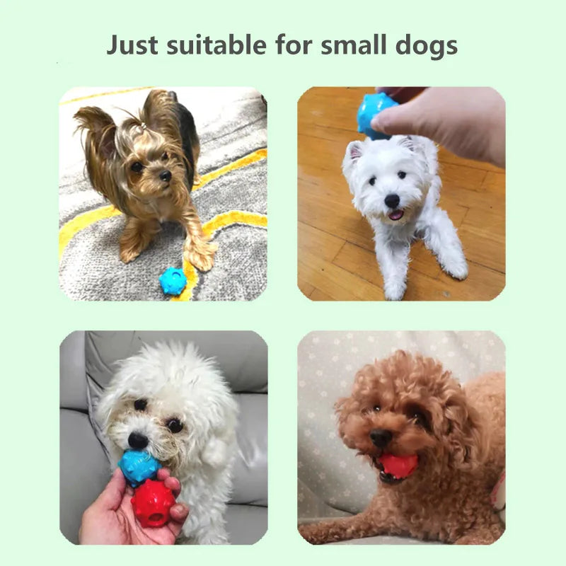 Dog Toys Mini Squeaking Ball Soft Floatable Spring
