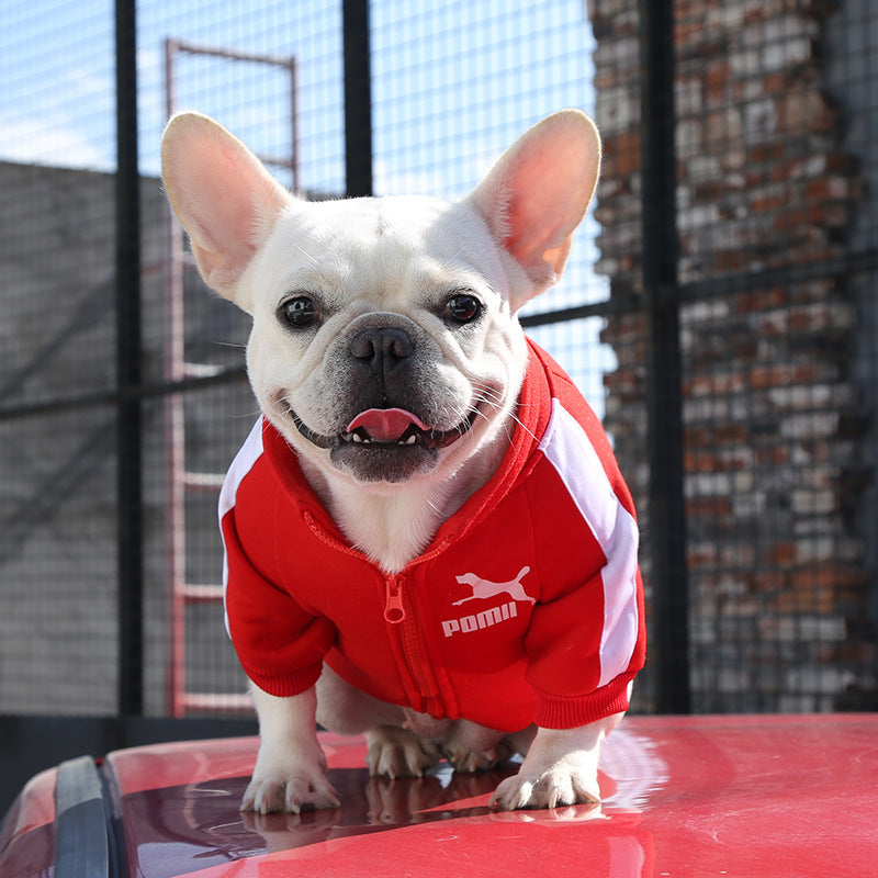 Manufacturer Customizes Pet Clothes Winter for Dogs