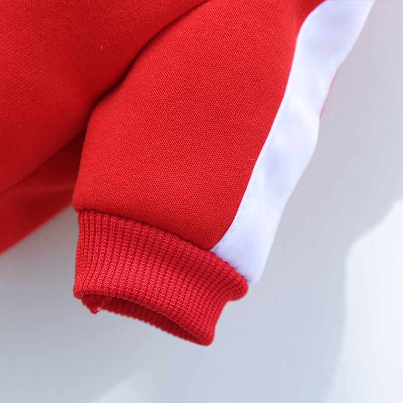 Manufacturer Customizes Pet Clothes Winter for Dogs