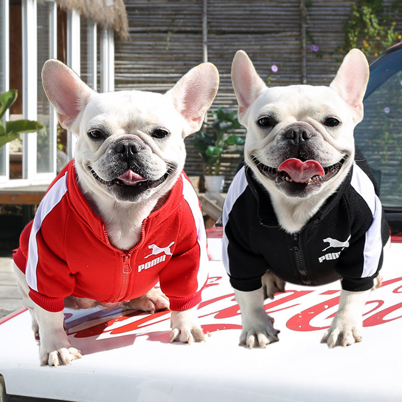 Manufacturer Customizes Pet Clothes Winter for Dogs