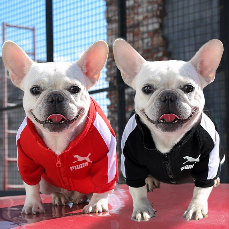 Manufacturer Customizes Pet Clothes Winter for Dogs