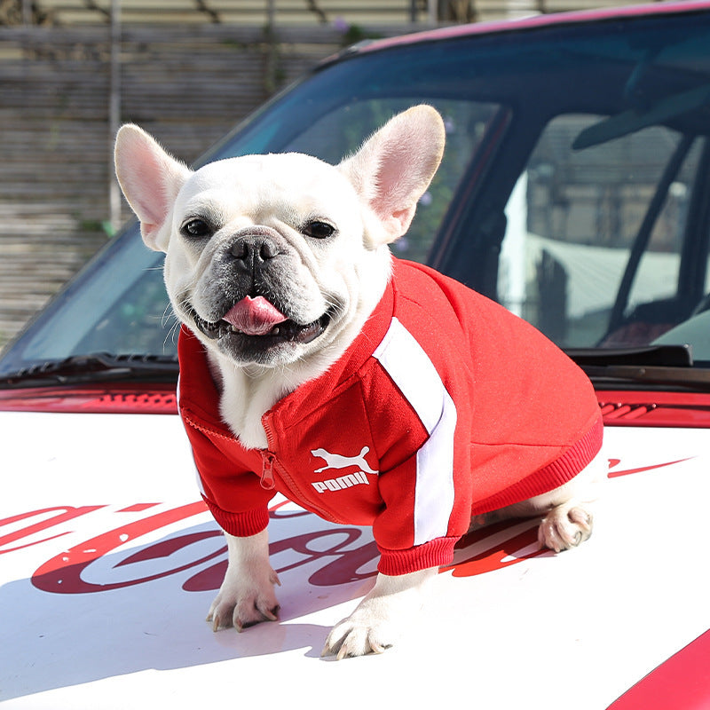 Manufacturer Customizes Pet Clothes Winter for Dogs