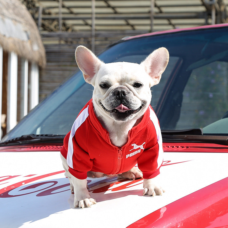 Manufacturer Customizes Pet Clothes Winter for Dogs