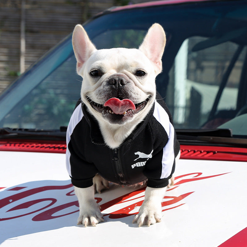 Manufacturer Customizes Pet Clothes Winter for Dogs