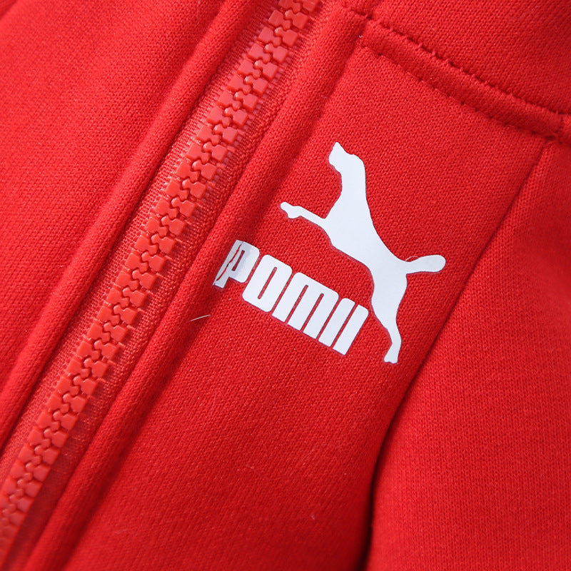 Manufacturer Customizes Pet Clothes Winter for Dogs