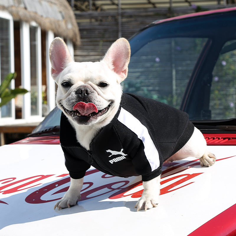Manufacturer Customizes Pet Clothes Winter for Dogs