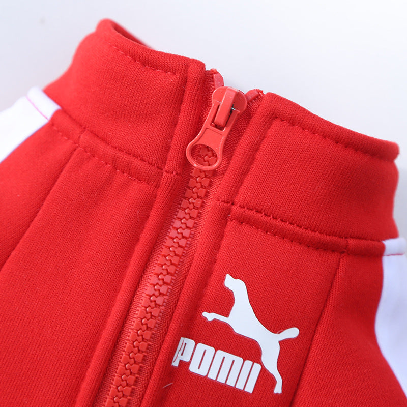 Manufacturer Customizes Pet Clothes Winter for Dogs