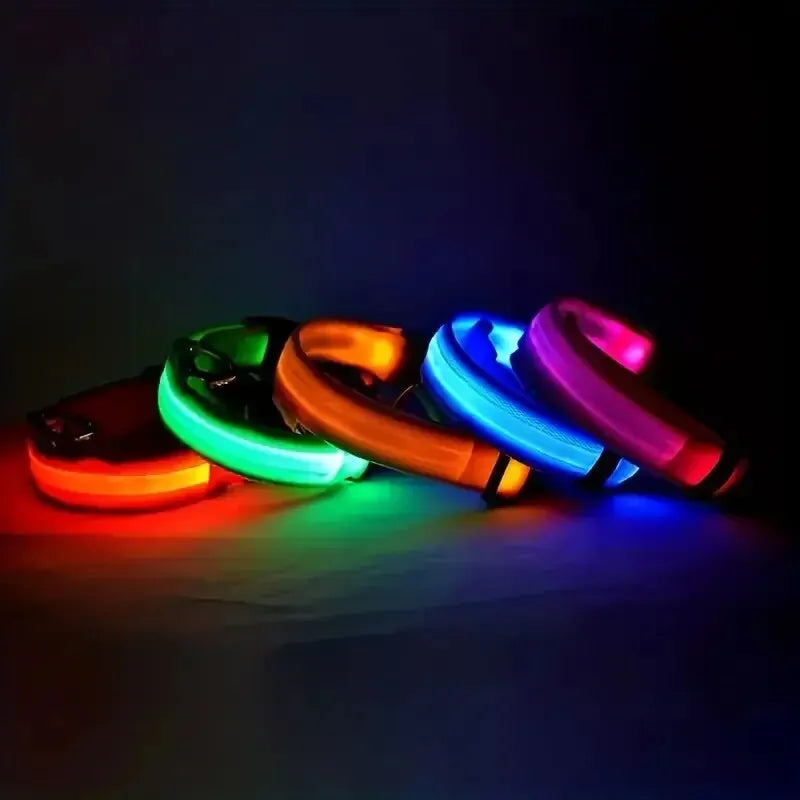 Nylon LED Night Safety Flashing Glow In The Dark Dog