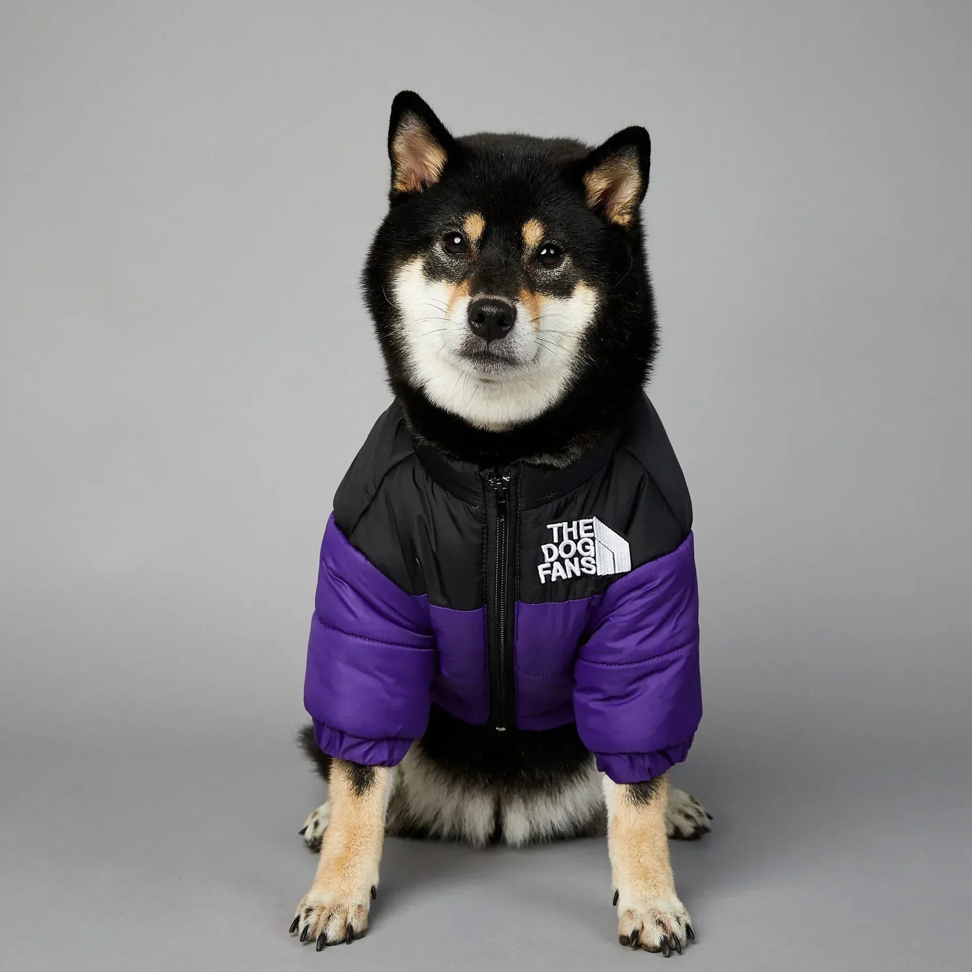 Puppy Coat Dog Down Jacket The Dog Fans Winter