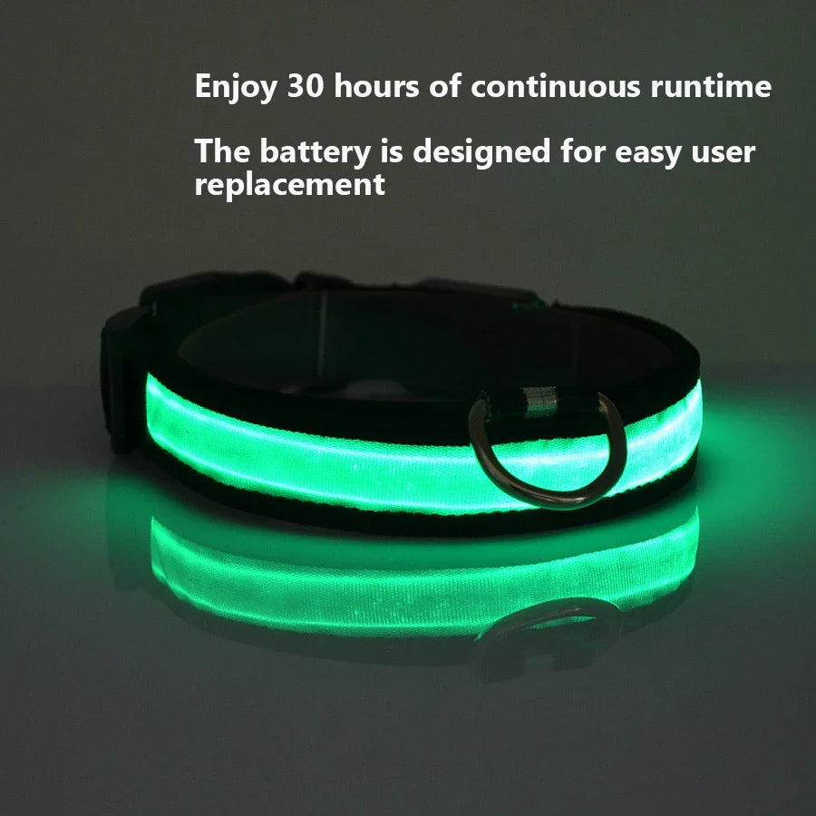 Glowing Dog Collar Nylon LED Night Safetly Glow