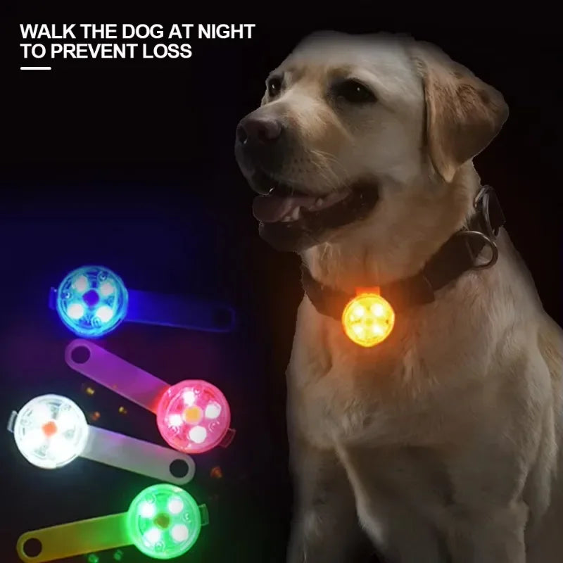 Dog collar loss collar weatherproof LED safety light