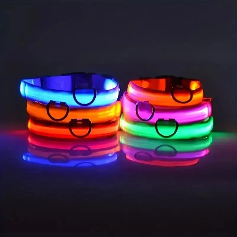 Nylon LED Night Safety Flashing Glow In The Dark Dog