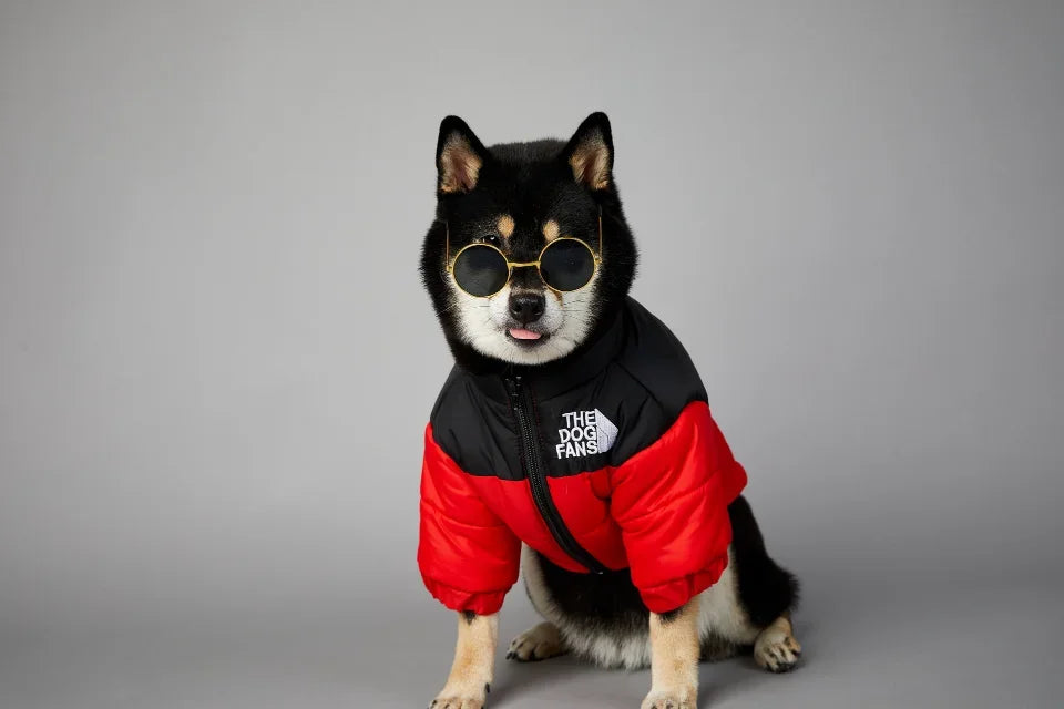 Puppy Coat Dog Down Jacket The Dog Fans Winter