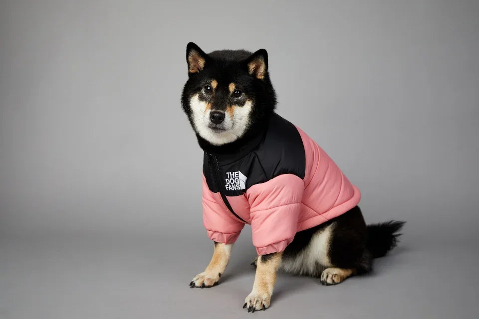 Puppy Coat Dog Down Jacket The Dog Fans Winter