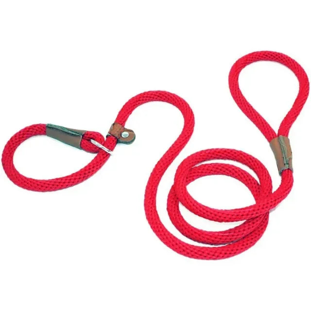 Chain Durable Nylon Slip Rope Dog Leash Collar 2 In 1