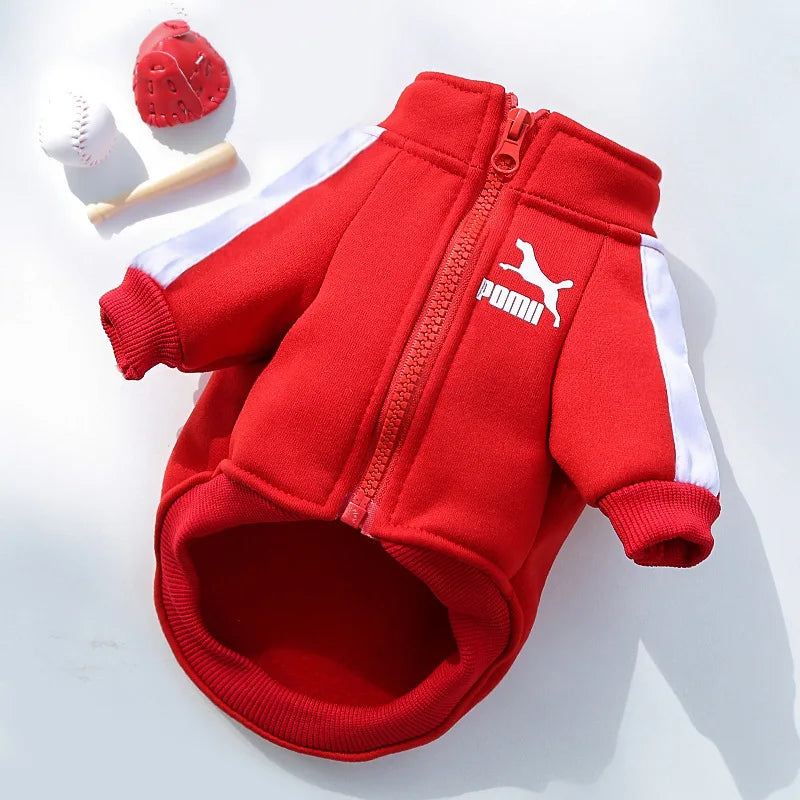 Manufacturer Customizes Pet Clothes Winter for Dogs