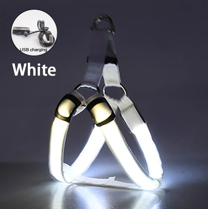LED Dog Harness Rechargeable Flashing Night Safety