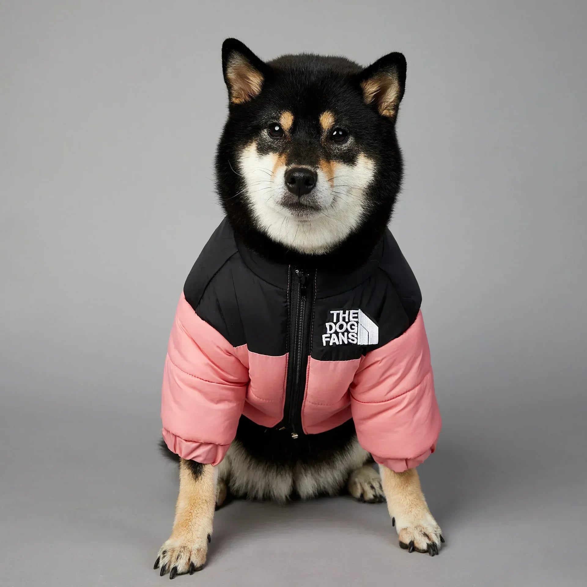 Puppy Coat Dog Down Jacket The Dog Fans Winter