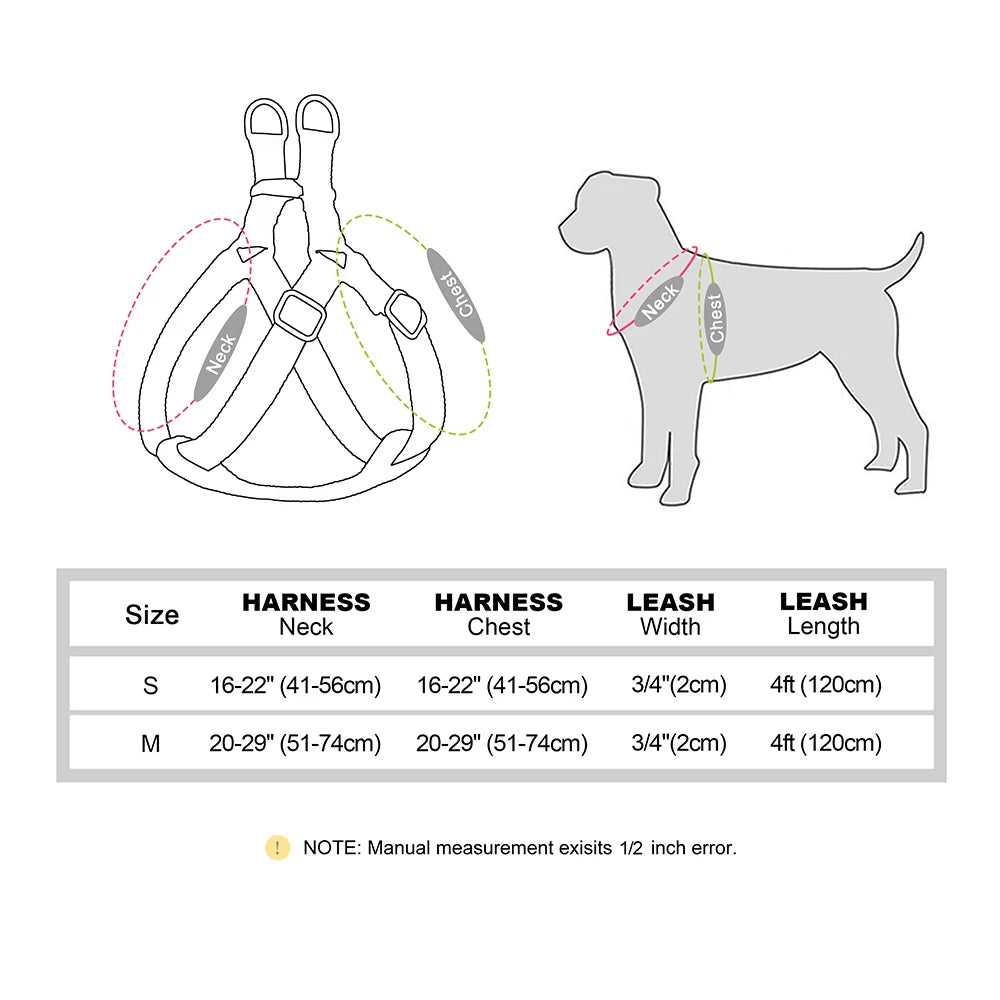 Custom PU Leather Harness And Leash Engraved Dog