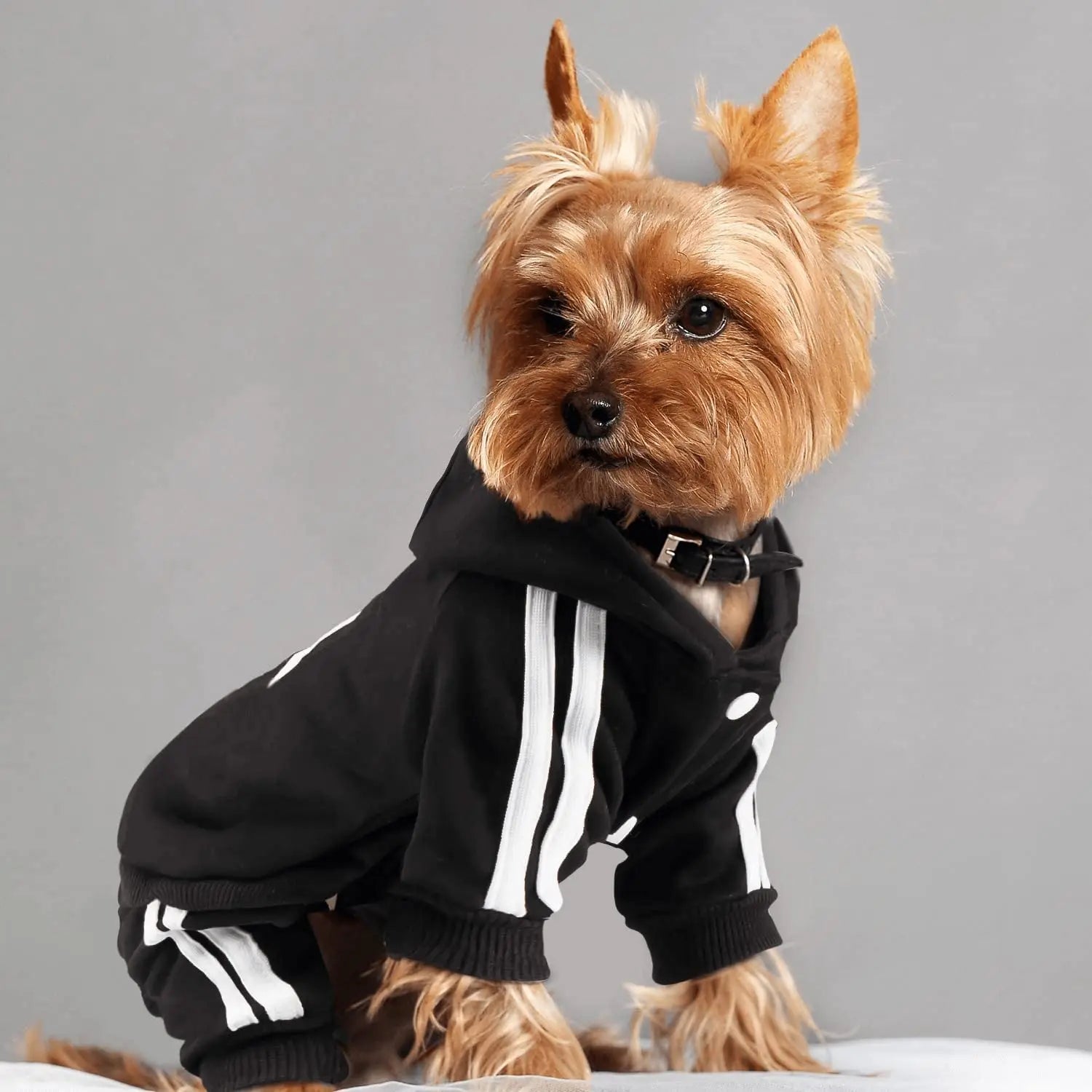 Brand Design Clothing Dog Jumpsuit Sports Pet Apparel