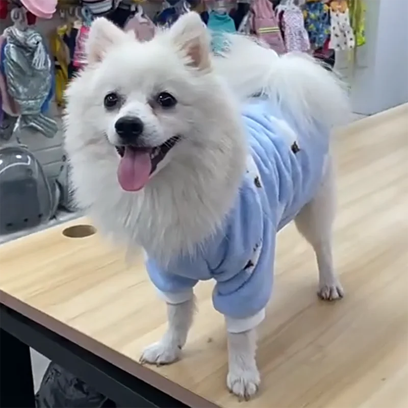 Pet autumn and winter clothing Christmas pet clothes