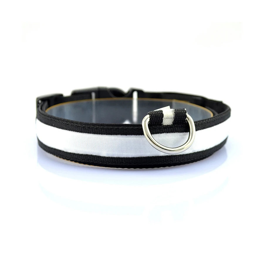 Glowing Dog Collar Nylon LED Night Safetly Glow
