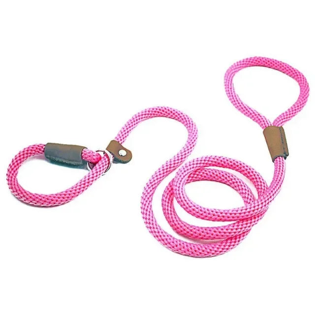 Chain Durable Nylon Slip Rope Dog Leash Collar 2 In 1