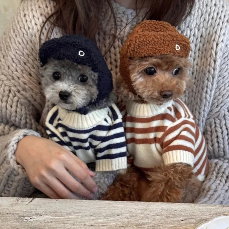 Luxury Dog Clothes Bear Striped Sweater  Pet Supplies