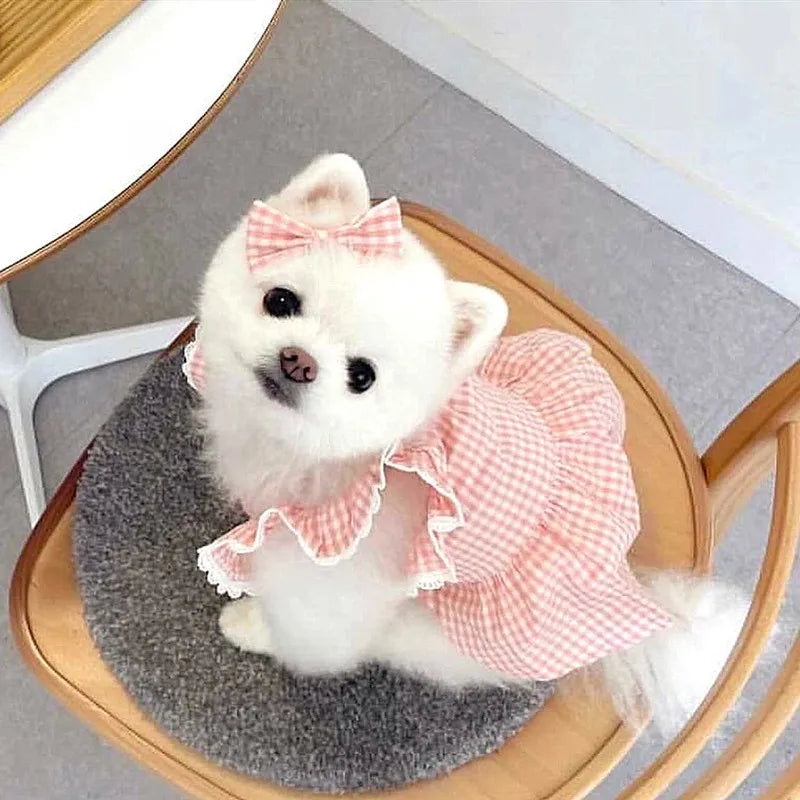 Summer pet dog dress pink plaid lace lace  pet clothes