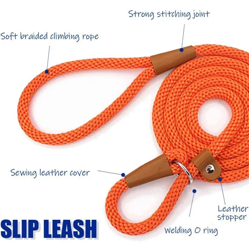 Chain Durable Nylon Slip Rope Dog Leash Collar 2 In 1
