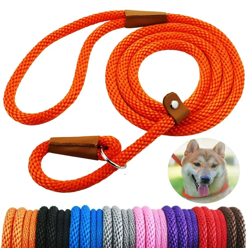 Chain Durable Nylon Slip Rope Dog Leash Collar 2 In 1