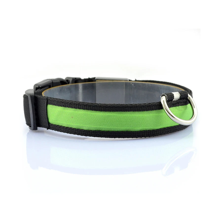 Glowing Dog Collar Nylon LED Night Safetly Glow