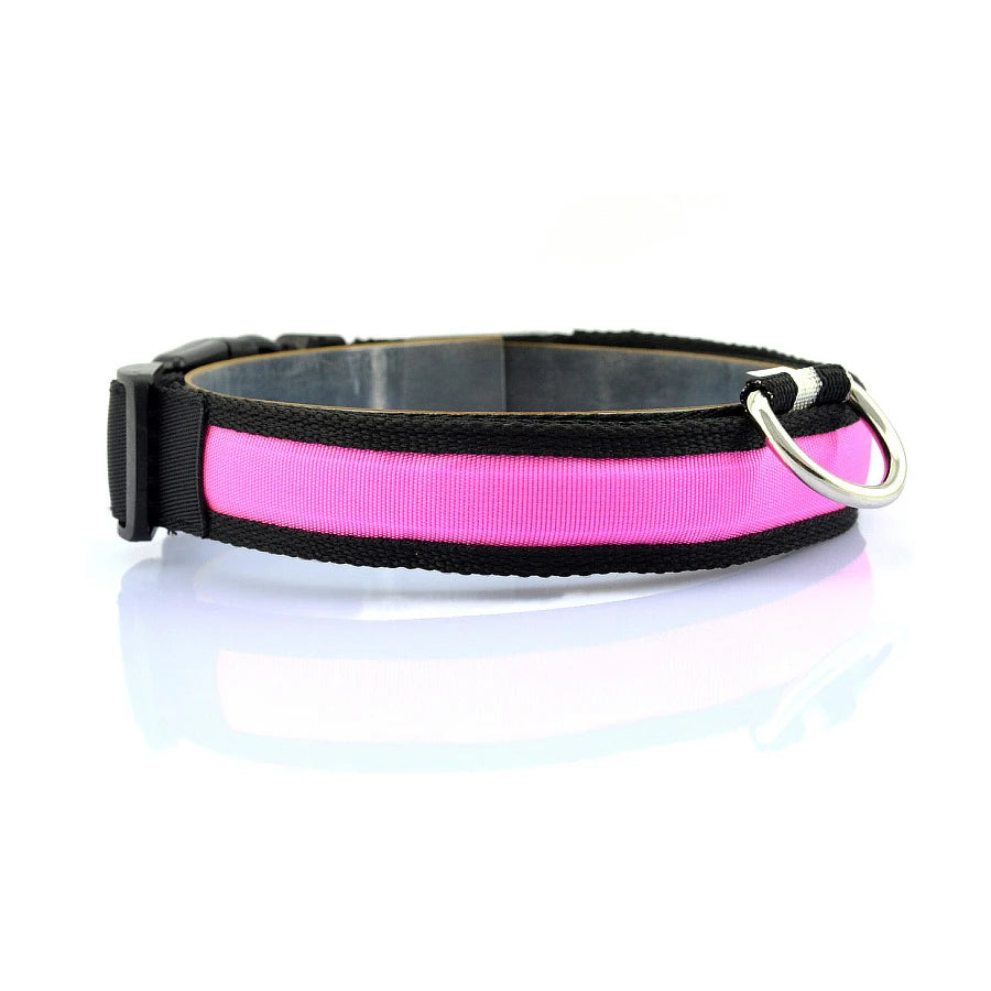 Glowing Dog Collar Nylon LED Night Safetly Glow