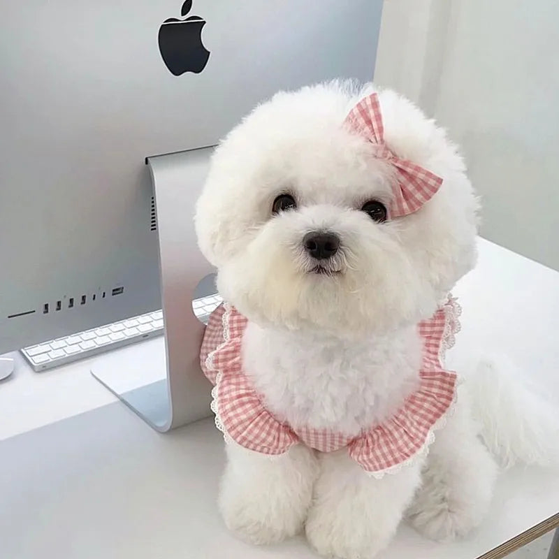 Summer pet dog dress pink plaid lace lace  pet clothes