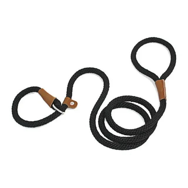 Chain Durable Nylon Slip Rope Dog Leash Collar 2 In 1