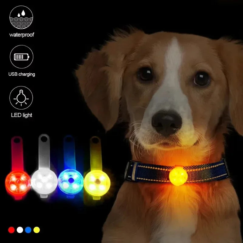 Dog collar loss collar weatherproof LED safety light