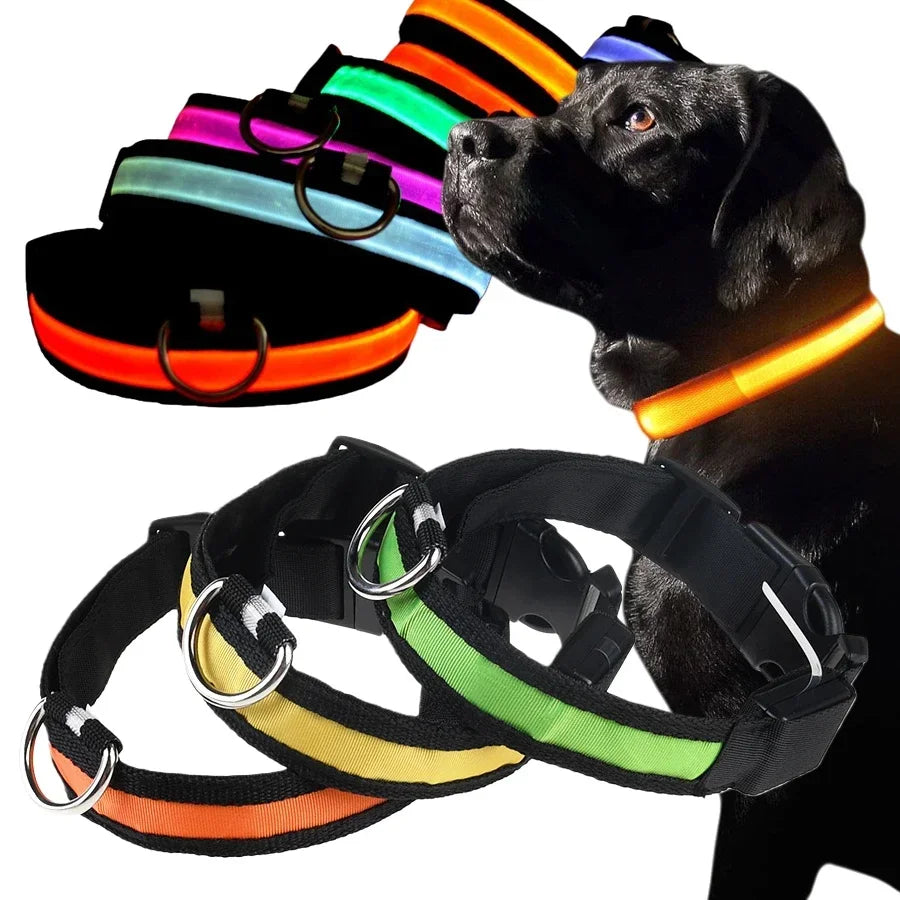 Glowing Dog Collar Nylon LED Night Safetly Glow