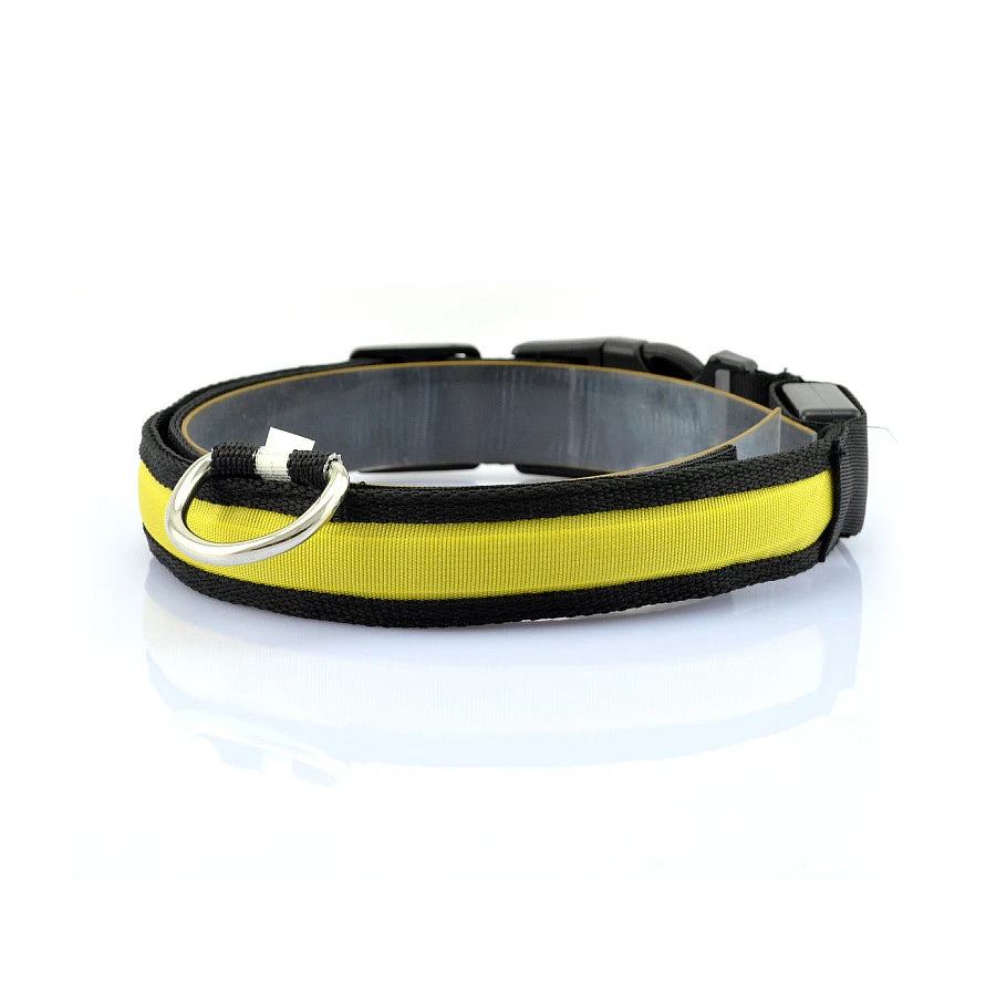 Glowing Dog Collar Nylon LED Night Safetly Glow