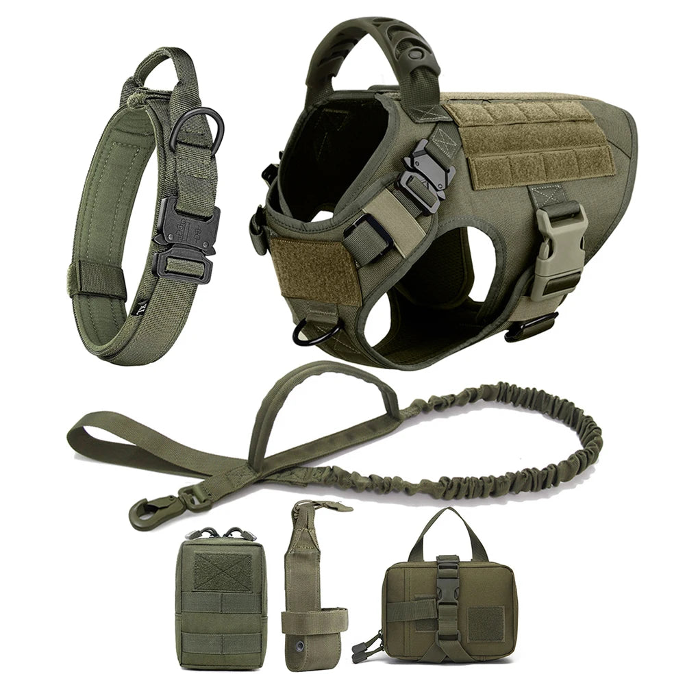 Large Dog Harness And Leash Set Pet Training Walking