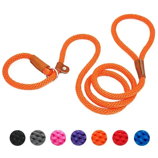 Chain Durable Nylon Slip Rope Dog Leash Collar 2 In 1