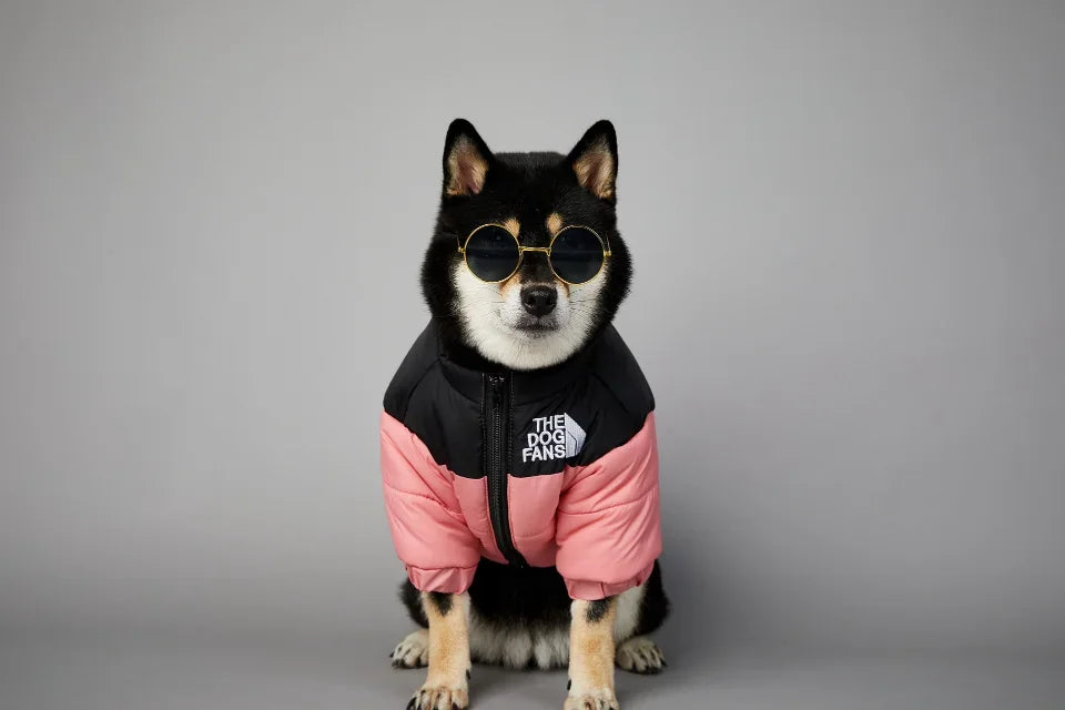 Puppy Coat Dog Down Jacket The Dog Fans Winter