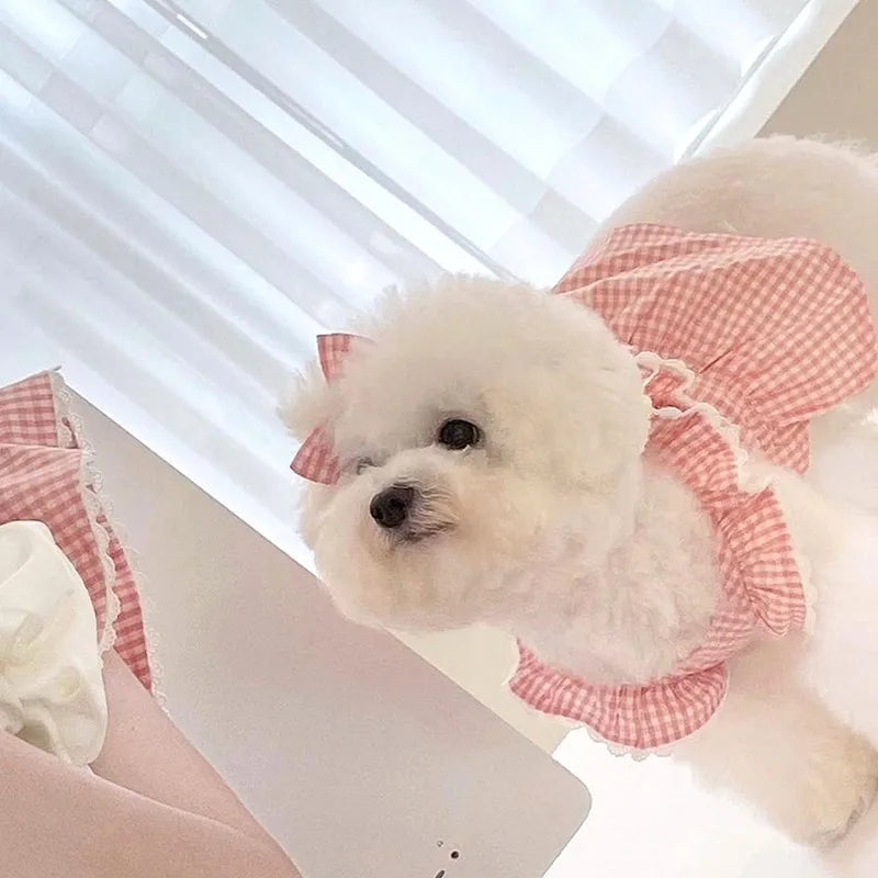 Summer pet dog dress pink plaid lace lace  pet clothes