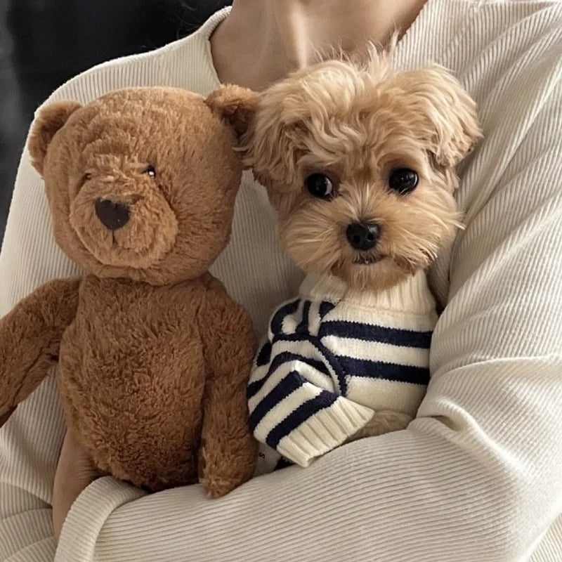 Luxury Dog Clothes Bear Striped Sweater  Pet Supplies