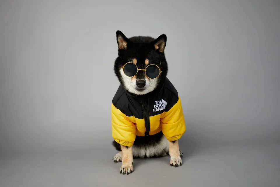 Puppy Coat Dog Down Jacket The Dog Fans Winter