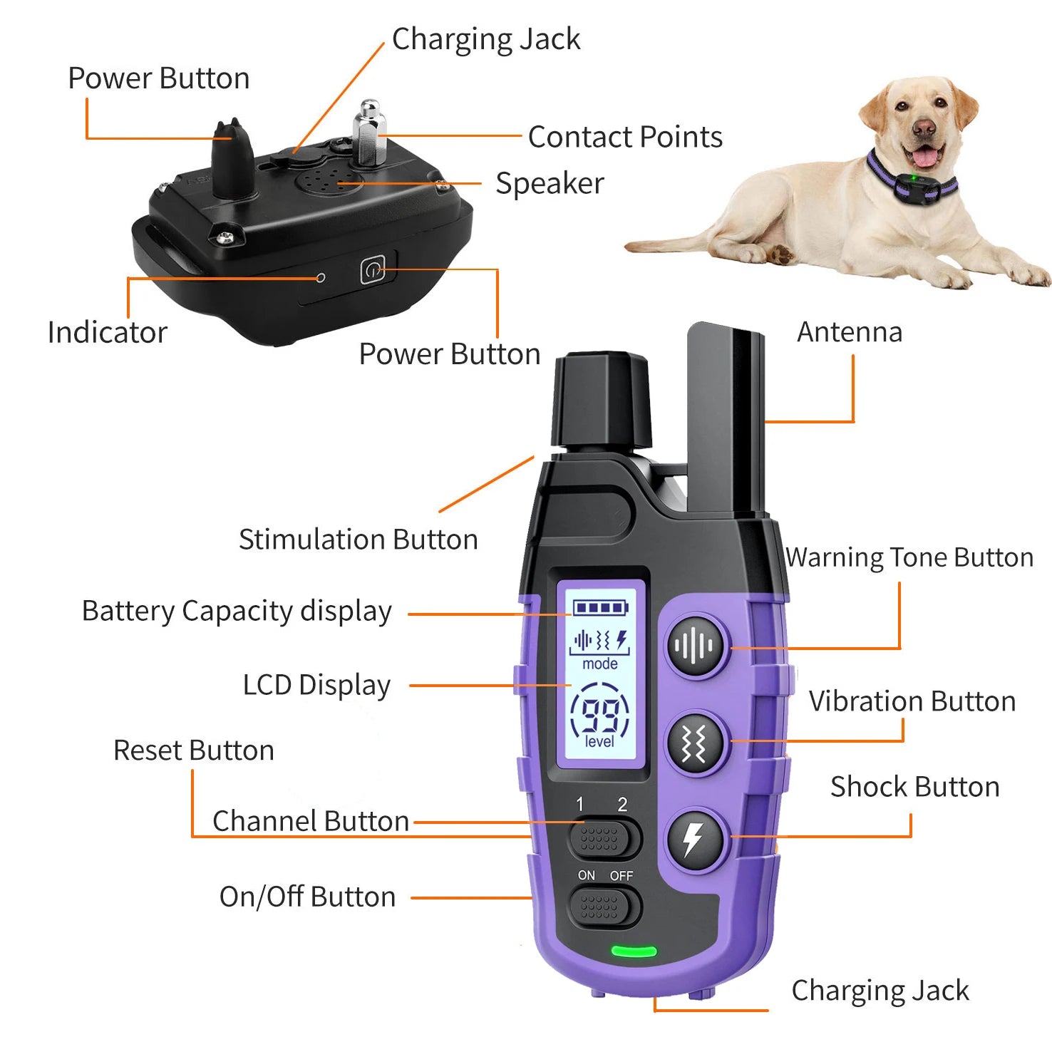 Electric Dog Training Collar Remote Control Puppy