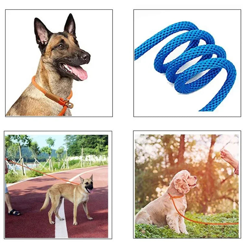 Chain Durable Nylon Slip Rope Dog Leash Collar 2 In 1