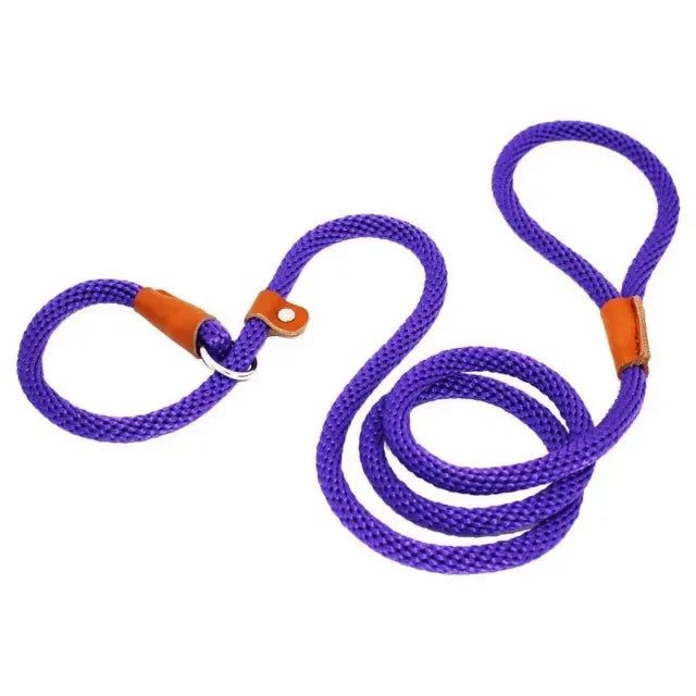 Chain Durable Nylon Slip Rope Dog Leash Collar 2 In 1