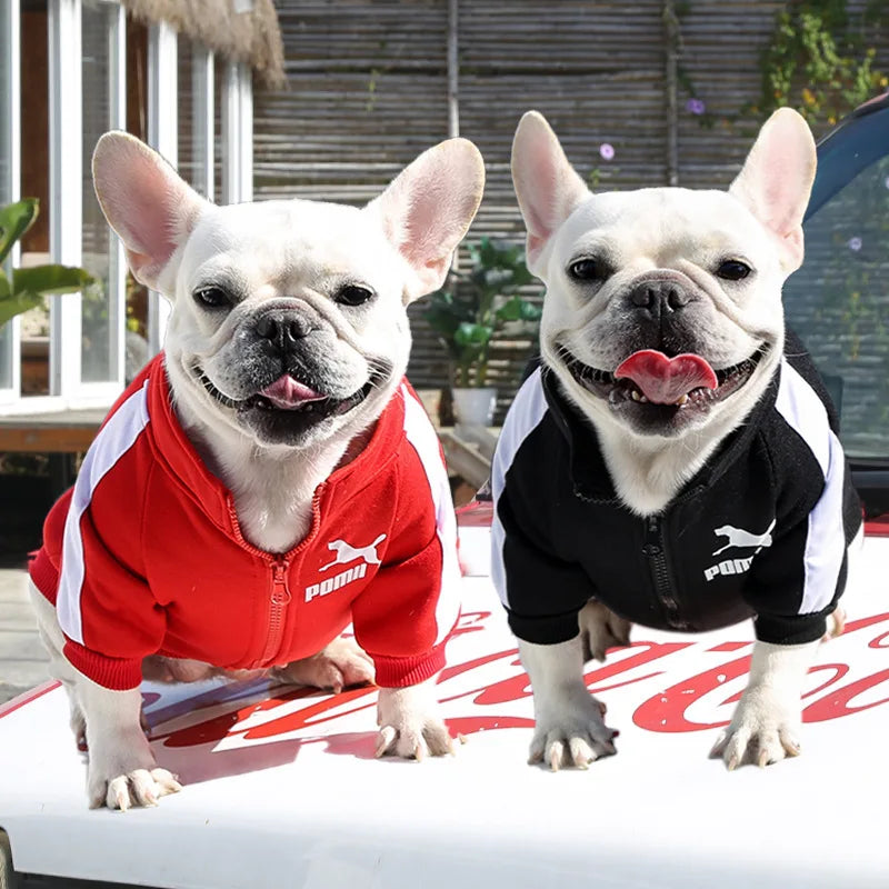 Manufacturer Customizes Pet Clothes Winter for Dogs